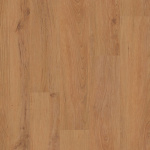 00241_5M300 - small 1