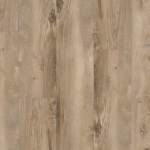 P2239-M6404 - small 1
