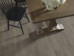 05009_SL102 - small 