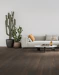 WO702-F1684 - small 