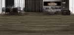 REGVE5204 - small 