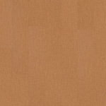 SP721 - small 1