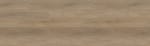 RELC8206 - small 1