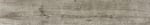 AE019361P6 - small 2