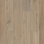 01056_0278V - small 1