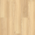 02013_0278V - small 1