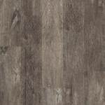 00556_0736V - small 1