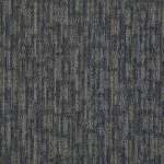 54491_91495 - small 1