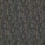 54491_91795 - small 1