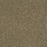 54594_00200 - small 1