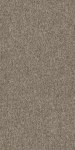 54815_00505 - small 1