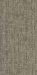 54841_00100 - small 1