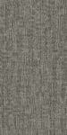 54841_00500 - small 1