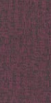 54841_00910 - small 1