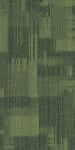 54842_00310 - small 1