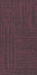 54843_00910 - small 1