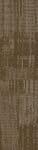 54874_00700 - small 1