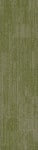 54876_00300 - small 1
