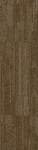54876_00700 - small 1