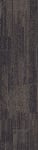54876_00900 - small 1
