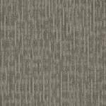 54881_81505 - small 1