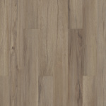 VV023-00571 - small 1