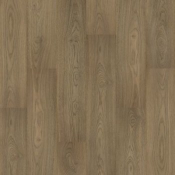 CDL02-869 - Clydesdale Hickory