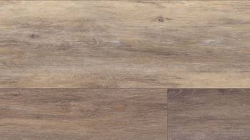 VV035-00905 - Twilight Oak