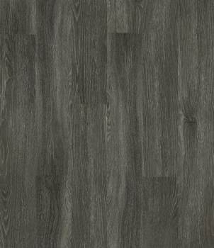00564_5M304 - Carbon