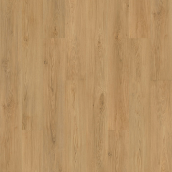 SDP10-241 - swatch