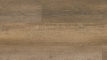 VV457-02903 - Gusto Oak