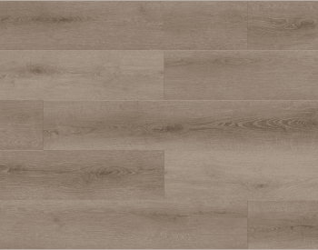 BB-VI - Lions Floor - Bambino SPC - Coffee Feather