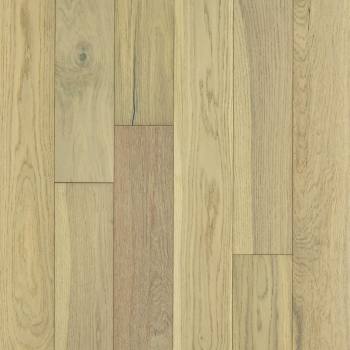SW583-01028 - Shaw - Empire Oak - Carnegie