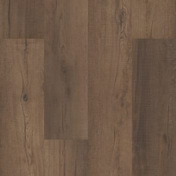 VV017-01011 - Chandler Oak