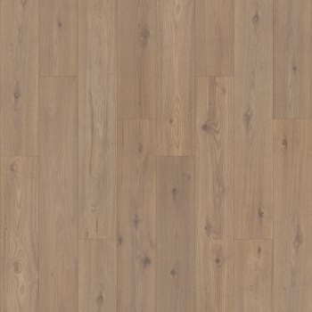 PSR19-833 - swatch