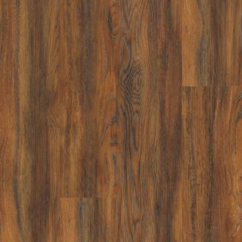 00698_0736V - Auburn Oak