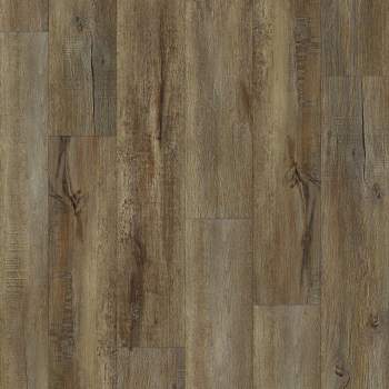 00709_2031V - Shaw Floorte Pro - Impact Plus - Modeled Oak