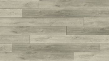BB-VII - Lions Floor - Bambino SPC - Rivoli