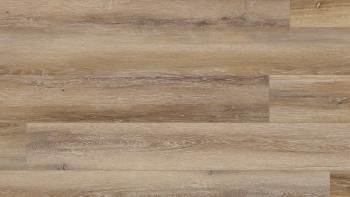 VV457-02910 - Alford Oak