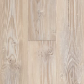 VV035-00921 - Tolima Pine