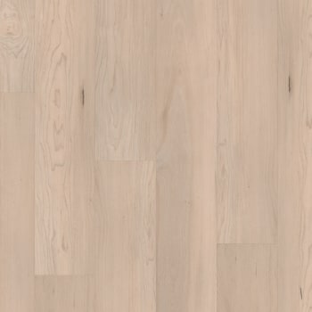 VV800-08007 - swatch