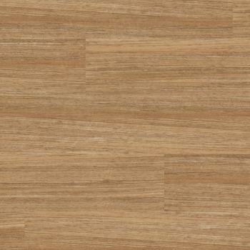 WP416 - Linea