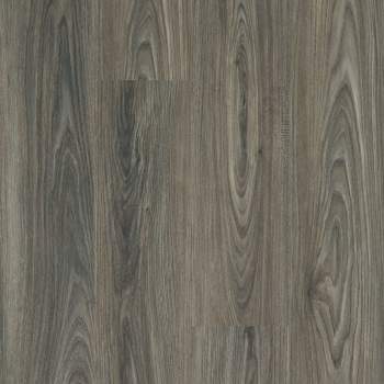 00915_5M402 - Dark Elm