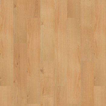 SDS13-465 - Mohawk Solidtech R Select - Ashland Crest - Ansley