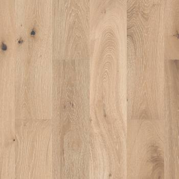 SW485-00146 - Shaw - Castlewood Oak - Tapestry