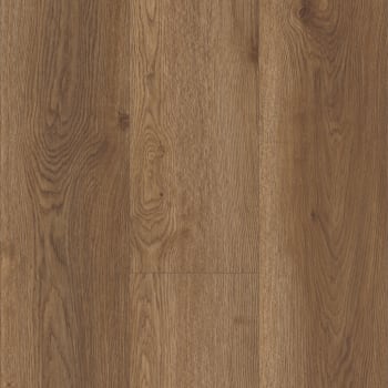 VV035-00922 - Arvon Oak