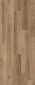 LI-CH14 - Lions Floor - Comfort Heights - Maple Gardens