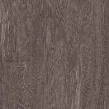 00564_5M308 - Carbon
