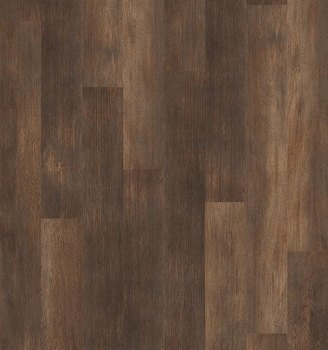 05019_5M303 - Thicket