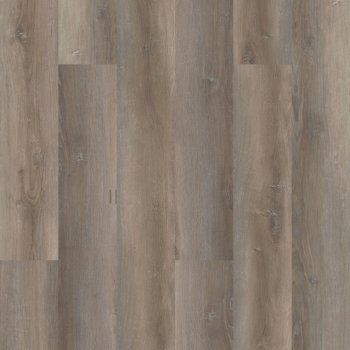 VV490-01655 - Wellington Oak